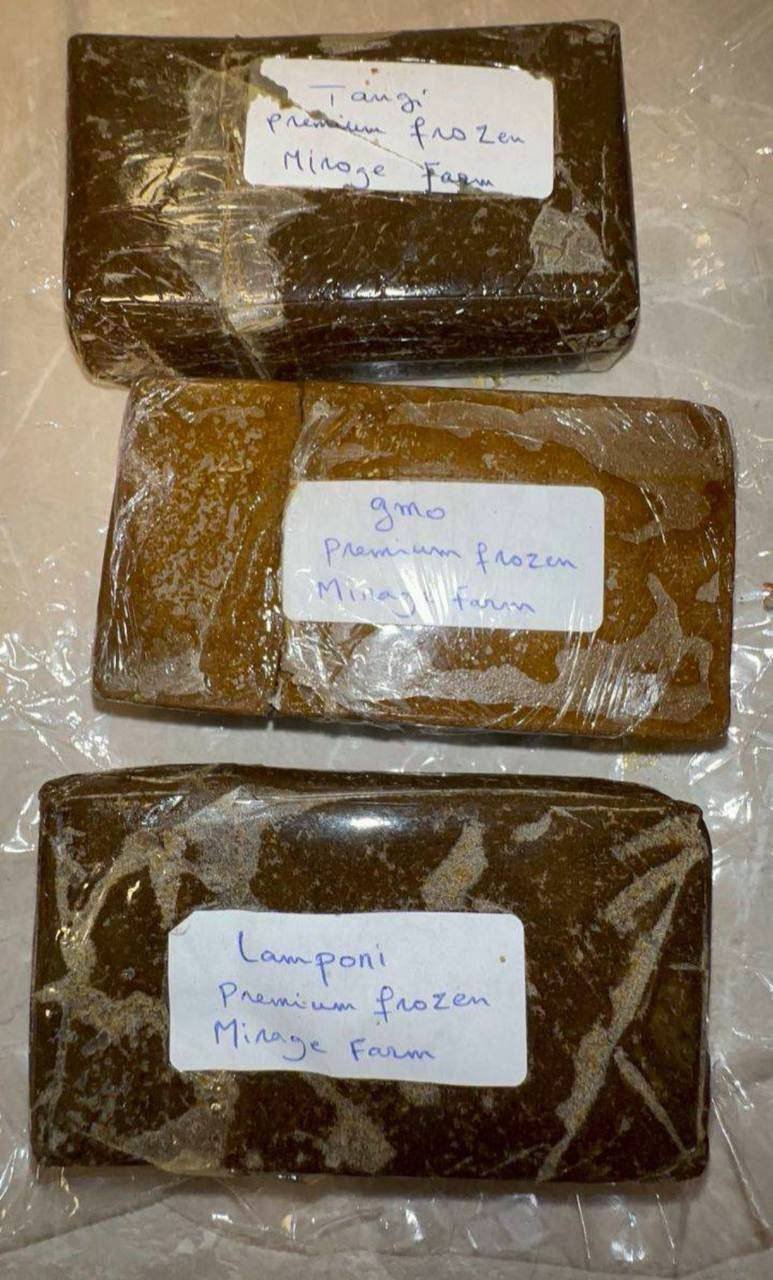 Buy Fresh Frozen Hash with rich terpenes, clean solventless resin, and premium quality