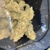 Buy Lemon Haze Strain with premium citrus aroma, dense trichomes, and rich terpene profile