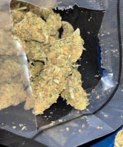 Buy Lemon Haze Strain with premium citrus aroma, dense trichomes, and rich terpene profile